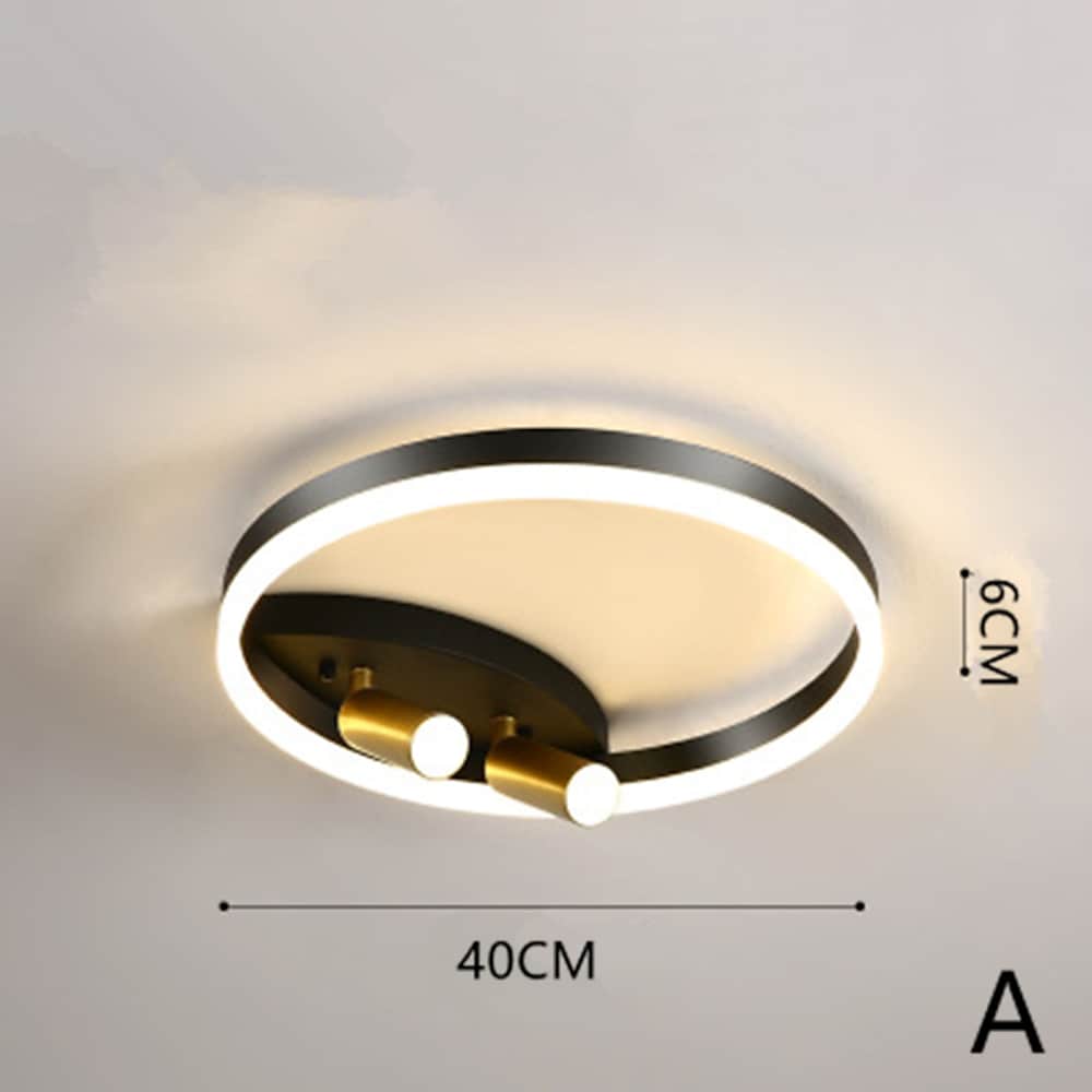 Modern Black Flush Mount Light LED Ceiling Light Circle Spotlights