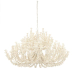 Seychelles Coco Chandelier