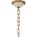 Schonbek Century 1716 Chandelier