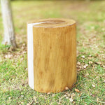 Simulation Tree Stump Waterproof Outdoor Garden Led Landscape Decorative Lighting