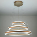 Modern Circle Foyer Chandelier Ideas Aluminum Kitchen Dining Room Ceiling Light