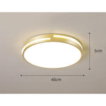Minimalist Round Dimmable LED Gold Modern Flush Mount Ceiling Light