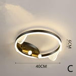 Modern Black Flush Mount Light LED Ceiling Light Circle Spotlights