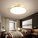 Minimalist Round Dimmable LED Gold Modern Flush Mount Ceiling Light